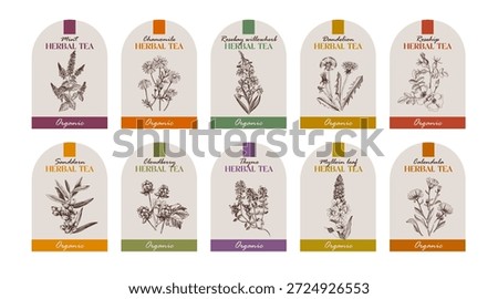Herbal tea vector labels collection