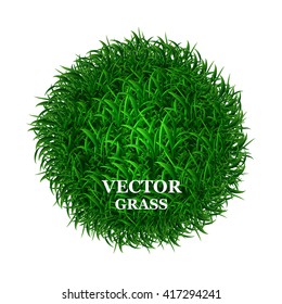  Herbal texture. Vector grass. Green grass.