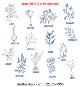Herbal therapy for whooping couch. Hand drawn vector set of medicinal plants