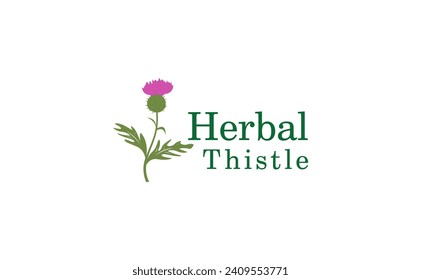 herbal thistle leaves logo vector. scottish purple  flower template