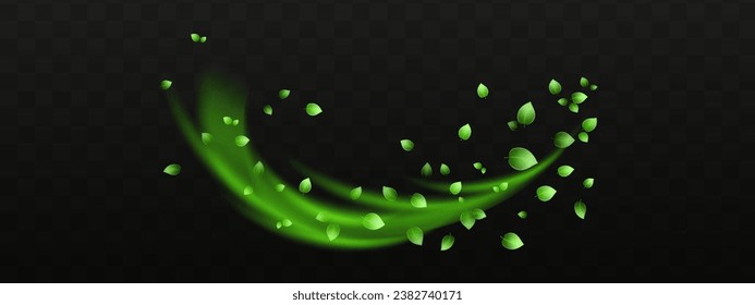 Herbal vector with herbaceous mint leaves on a transparent background. Spring green lime or tea leaves.Flying greenish leaves in the wind.Vector realistic illustration of air vortex.