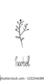 Herbal vector illustration