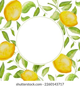 Herbal vector watercolor lemon frame. Hand painted green lemon and branches on white background. Natural card design. All elements are isolated and editable.