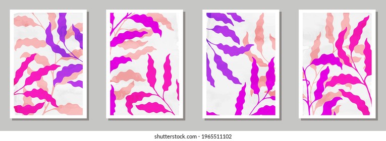 Herbal wall art posters set. Spring branches with leaves. Eucalyptus leaves exotic botanical backgrounds. Willow plant frames. Twigs vector illustration. vector design..