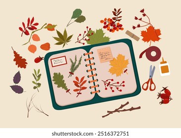 Herbario de flores y hojas de otoño. Creatividad de materiales naturales. Ilustración vectorial