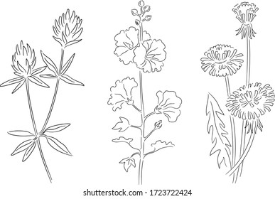 Vector Drawing Flowers Floral Composition Hand Stock Vector (Royalty ...