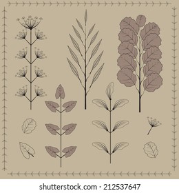 Herbarium of the different leaves and branches. A vector illustration.