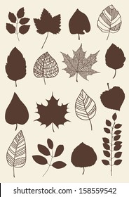 Herbarium of the different red leaves