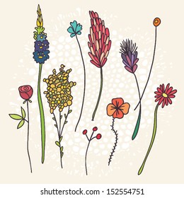 herbarium of flowers