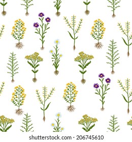 Herbarium flowers with roots, seamless pattern