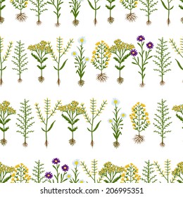 Herbarium flowers with roots, seamless pattern, vector illustration