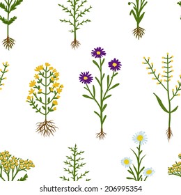 Herbarium flowers with roots, seamless pattern, vector illustration