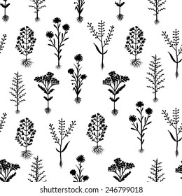 Herbarium flowers with roots, seamless pattern, vector illustration