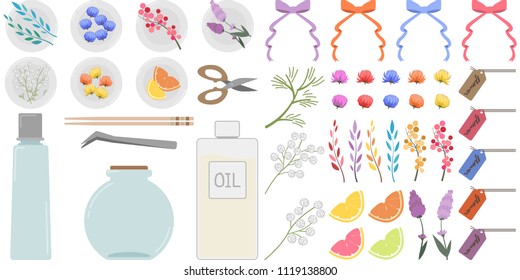 Herbarium illustration material set