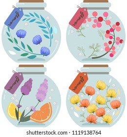 Herbarium illustration sets (round type)