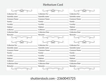 Hoja de etiquetas de herbario. Plantilla de identificación de planta. Recogida y preservación de materiales vegetales. Vector