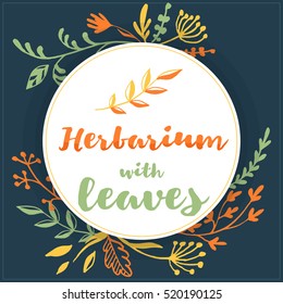 Herbarium with leaves - set of vector herbs and branches, decorative frame, hand drawn lettering. Ink style simple illustration with botanical sketches