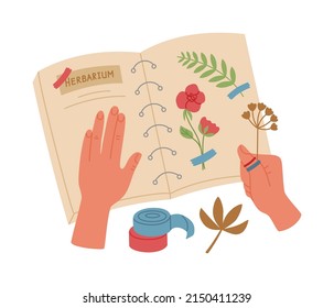 Herbarium making process, top view. Hands holding album with dried flowers and leaves. Creative workshop for kids. Vector illustration isolated on white background. Hand drawn in flat cartoon style.