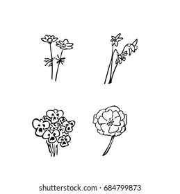 Herbarium. Set