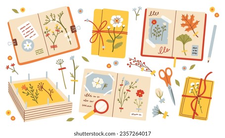 Conjunto de herbarios. Flores y hojas de otoño acogedoras. Afiche de humor de caída, pegatina, postal, vectorial de plantilla de volante