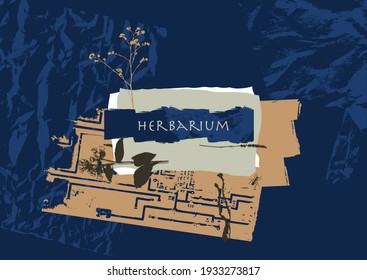 Herbarium. Variants of different textures and plants. Suitable for interior decoration, postcards, invitations. Stylish vector illustration.
