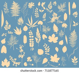Herbarium - Vector Collection of Dried Leaves Silhouettes