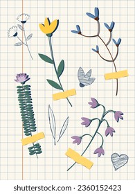 Ilustración vectorial de herbario en estilo plano. Las flores secas están pegadas al papel de cuaderno a cuadros.