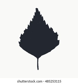 Herbarium. Vector silhouette of the birch leaf.
