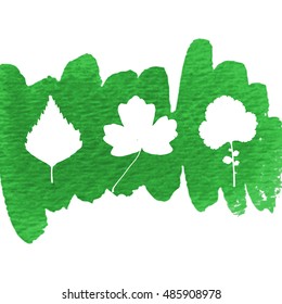 Herbarium. Vector silhouette of birch leaf and herbs' leaves on the green watercolor background.