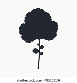 Herbarium. Vector silhouette of the leaf of field plant.