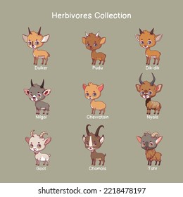 Herbivore animals collection with name text