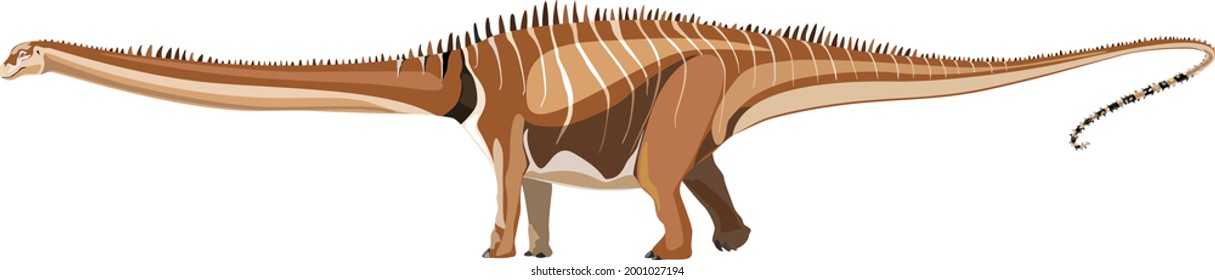 Herbivorous dinosaur Diplodocus. Vector illustration