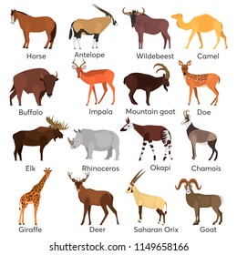 Herbivorous ungulates color vector icons set