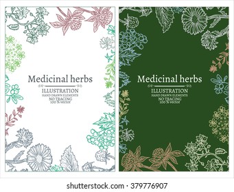 Herbs banners hand drawn vintage sketch vector illustration 