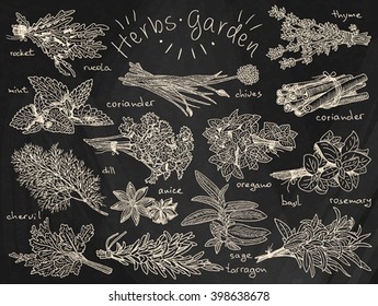 herbs, basil, chervil, chives, cilantro, coriander, dill, mint, oregano, parsley, rosemary, rocket, sage, tarragon, thyme, background, garden