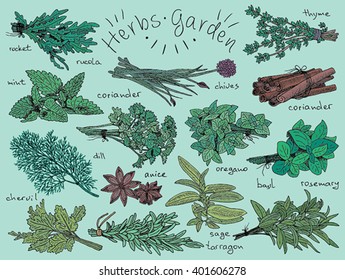 herbs, basil, chervil, chives, cilantro, coriander, dill, mint, oregano, parsley, rosemary, rocket, sage, tarragon, thyme, background, garden