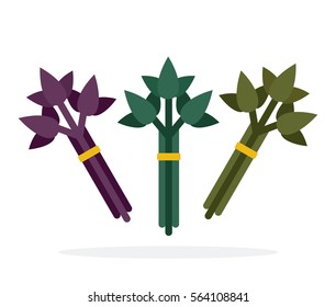 Herbs beams vector flat material design object. Isolated illustration on white background.