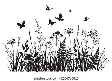 Herbs and butterflies. Spring or summer flowers. Floral field. Vector illustration.