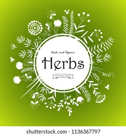 Herbs card design