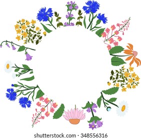 herbs in a circle - Hypericum, Angustifolium,  chamomile, Campanula, cornflowers, Echinacea