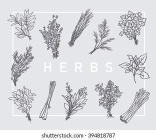 herbs collection