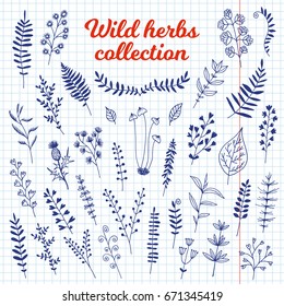 Herbs collection isolated on notebook background