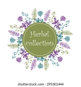 Herbs collection on white background.