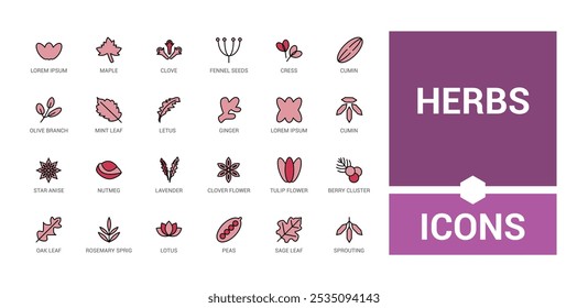 Herbs colorido conjunto de ícones de linha. Inclui linha fina natural, medicina, tradicional, tempero, tratamento, condimento e muito mais. Traçado editável. Ilustração vetorial. Os nomes dos ícones são escritos em inglês.