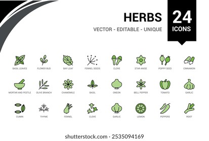 Herbs colorido conjunto de ícones de linha. Inclui linha fina natural, medicina, tradicional, tempero, tratamento, condimento e muito mais. Traçado editável. Ilustração vetorial. Os nomes dos ícones são escritos em inglês.