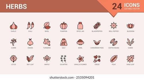 Herbs colorido conjunto de ícones de linha. Inclui linha fina natural, medicina, tradicional, tempero, tratamento, condimento e muito mais. Traçado editável. Ilustração vetorial. Os nomes dos ícones são escritos em inglês.