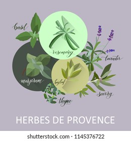 Herbs de provence. Hand written names. Aromatic cooking herbs