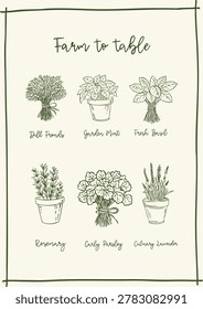 Herbs dill parsley basil mint rosemary lavender poster whimsical doodle