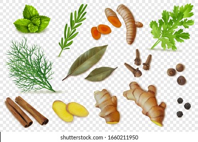 Herbs, dry spices and spicy roots set. Realistic style. Textured items. Isolated objects cillection. Ginger, turmeric, slices, roots, Bay leaf, pepper. Transparent background.Vector illustration