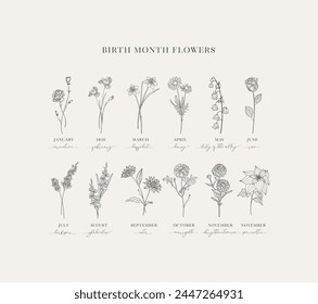 Herbs and florals, Hand drawn Birth Flowers, Birth Month, Mother’s Day, Birth Announcement, Baby Gift, T-shirt design, Print. Floral Decorative Design Element. Vector Graphics.